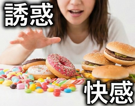 砂糖や超加工食品がもたらす誘惑